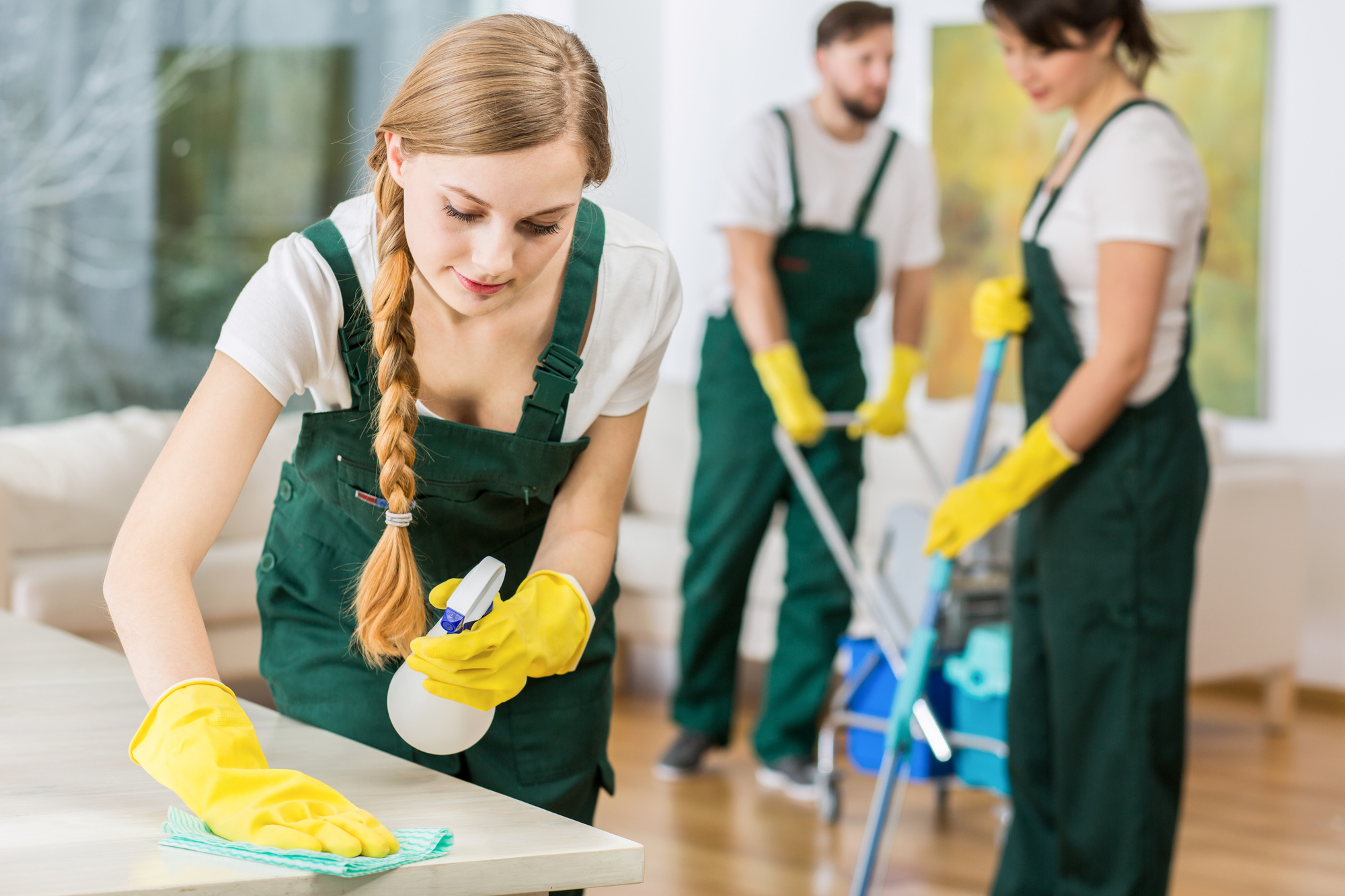 House/Villa Services